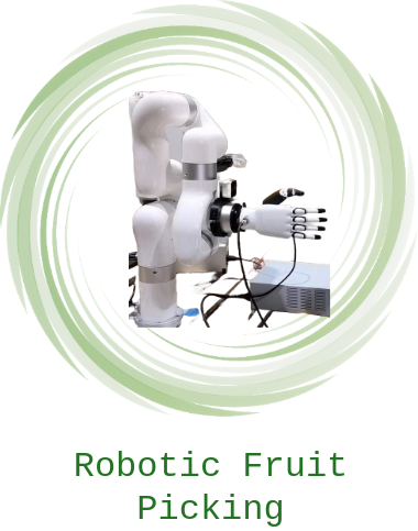 Robotic Fruit Picking