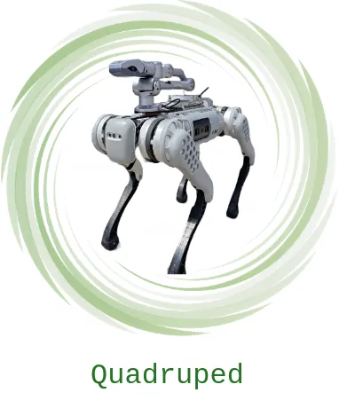 Quadruped Docs